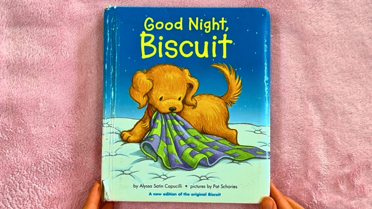 Good Night, Biscuit | Cozy Bedtime Read Aloud for Kids 🐶🌙
