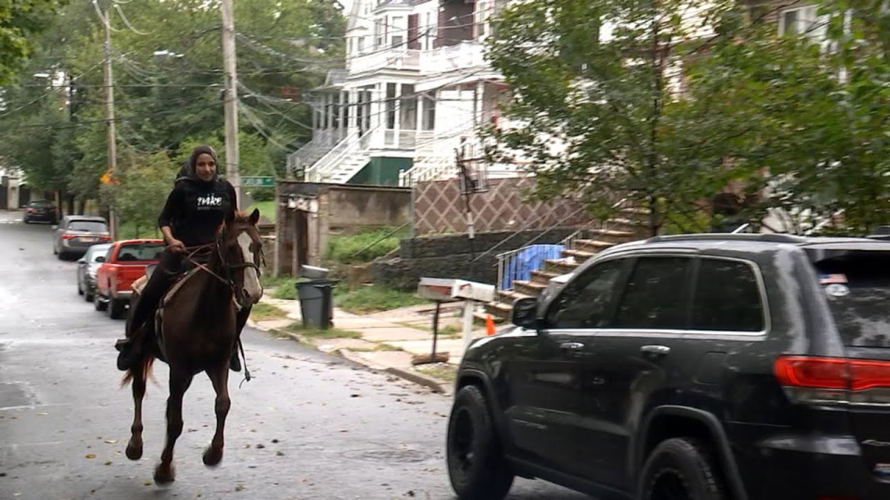 No horsing around: Couple keeps pet steed outside NYC home