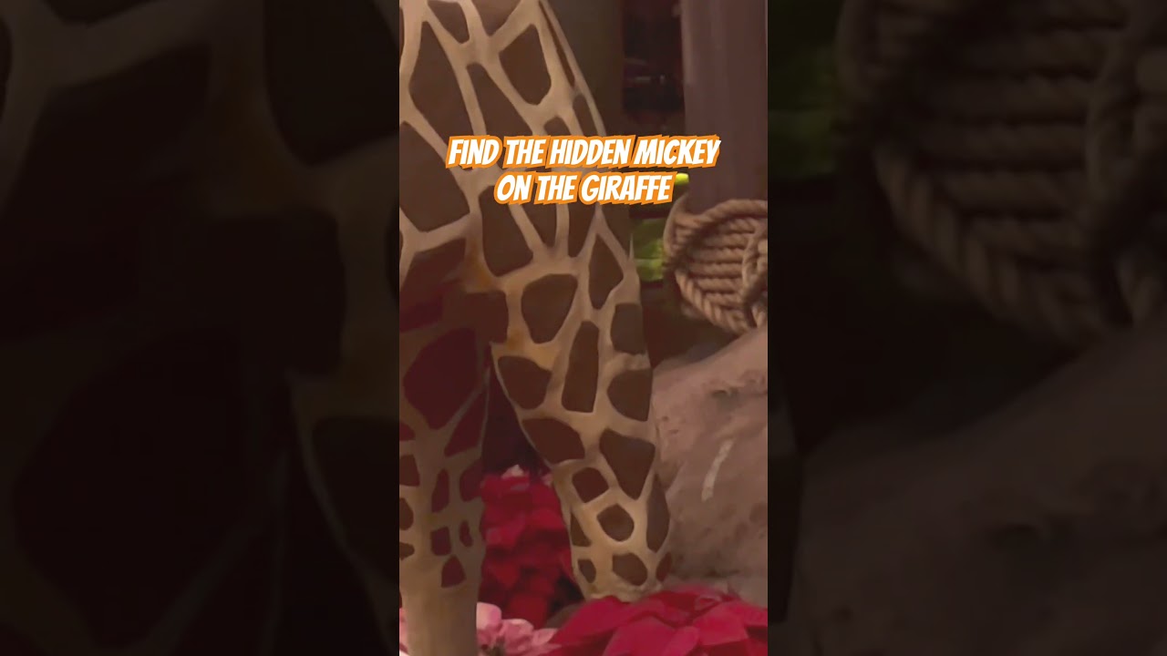 Animal Kingdom lodge hidden Mickey.    