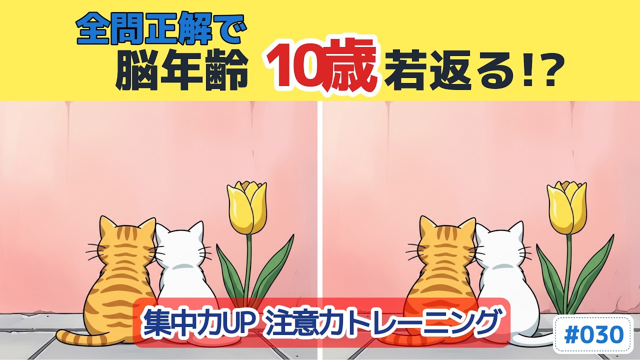 【間違い探し 60代70代】最後の壁を越えられますか？ #030