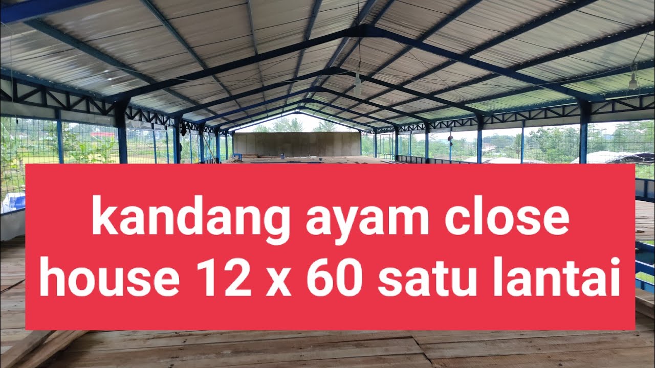 pembuatan kandang ayam close house 12 x 60