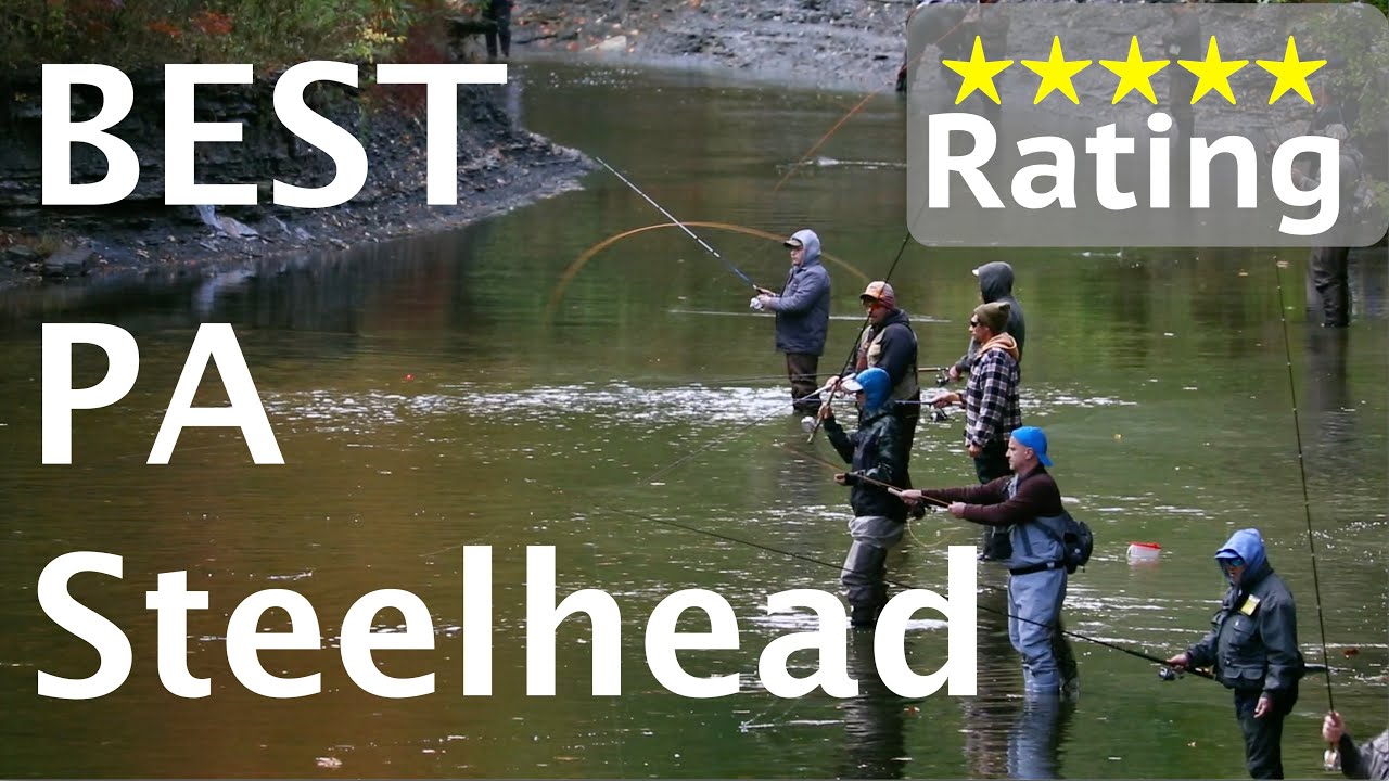 Pennsylvania's BEST Steelhead Fishing - Walnut Creek, Erie PA
