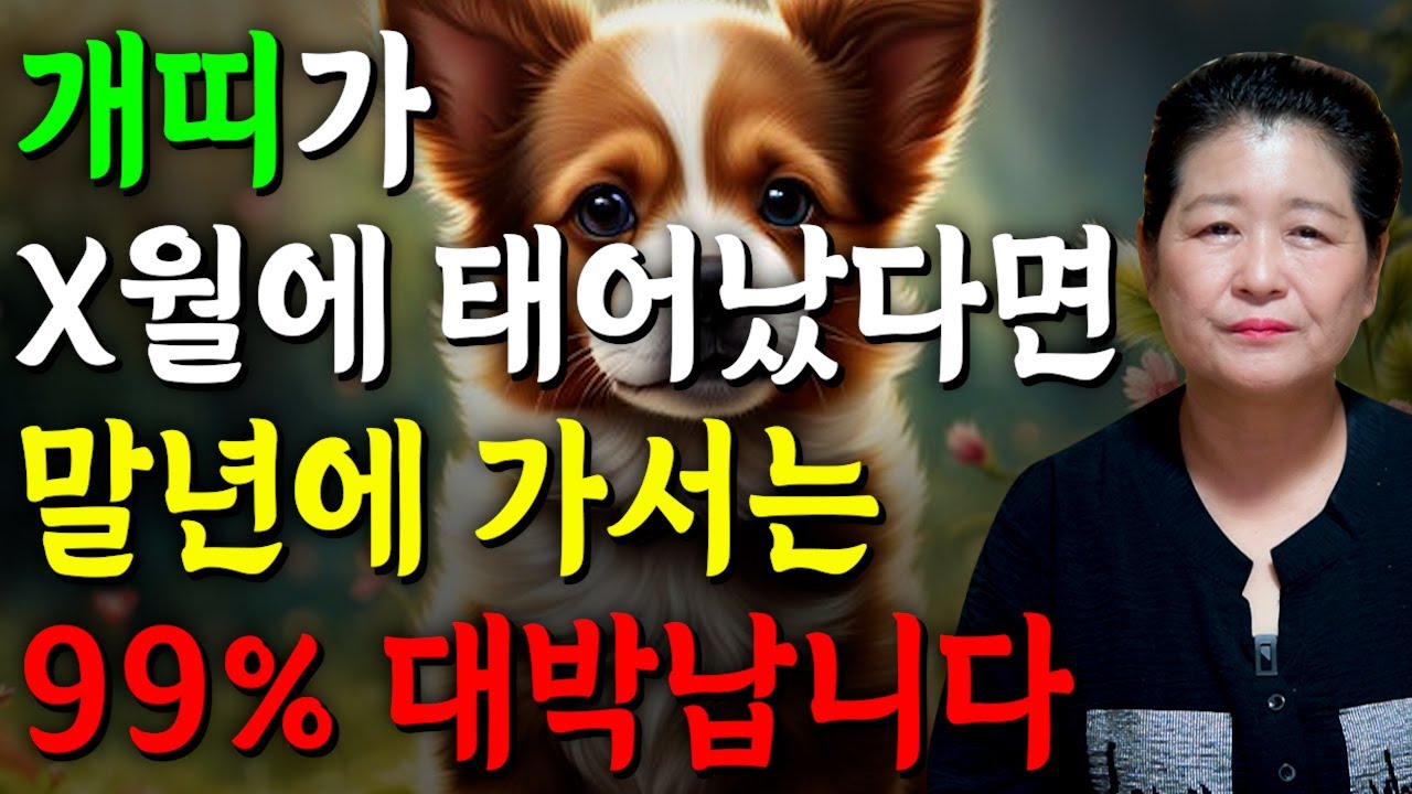 [2025년 개띠 평생 운세] 개띠가 X월에 태어났다면 말년에 99% 대박납니다! 2025년 개띠에게 찾아오는 변화와 기회들!! 58년생 70년생 82년생 94년생 운세