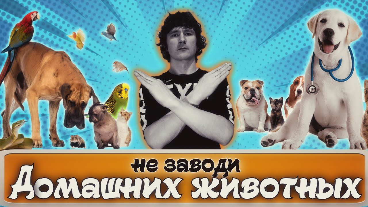 ⭐НЕ ЗАВОДИ! Домашних животных!⭐