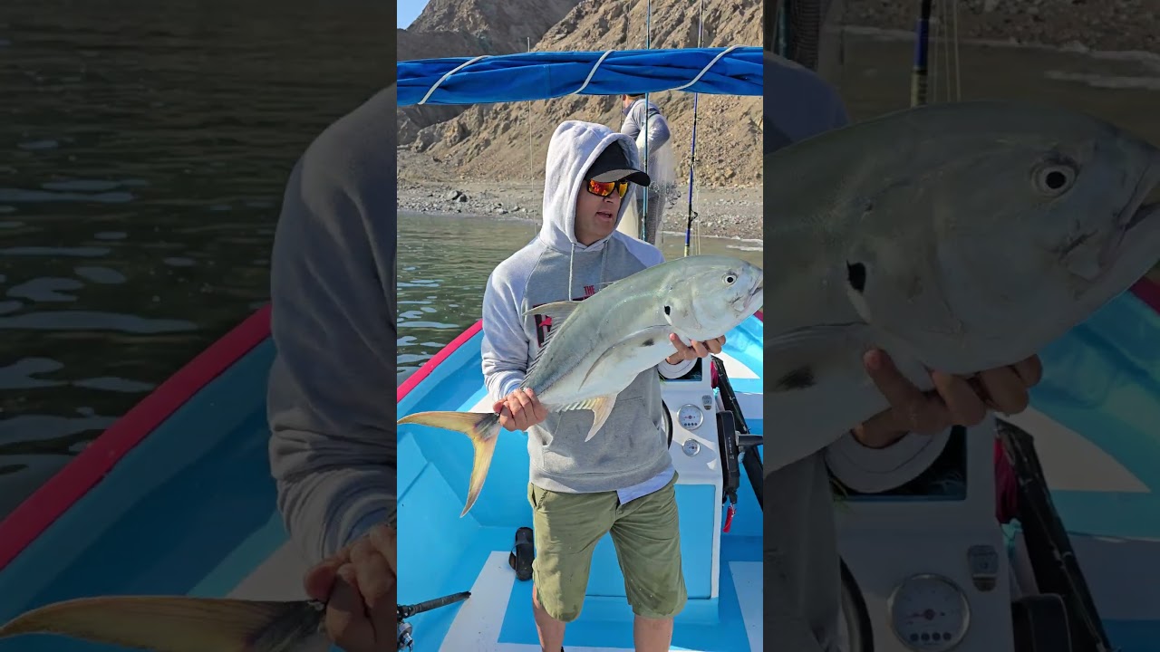 Una buena pelea con un JUREL toro con ca&ntilde;a econ&oacute;mica #fishing #pesca #fish #jureles #catchandrelease