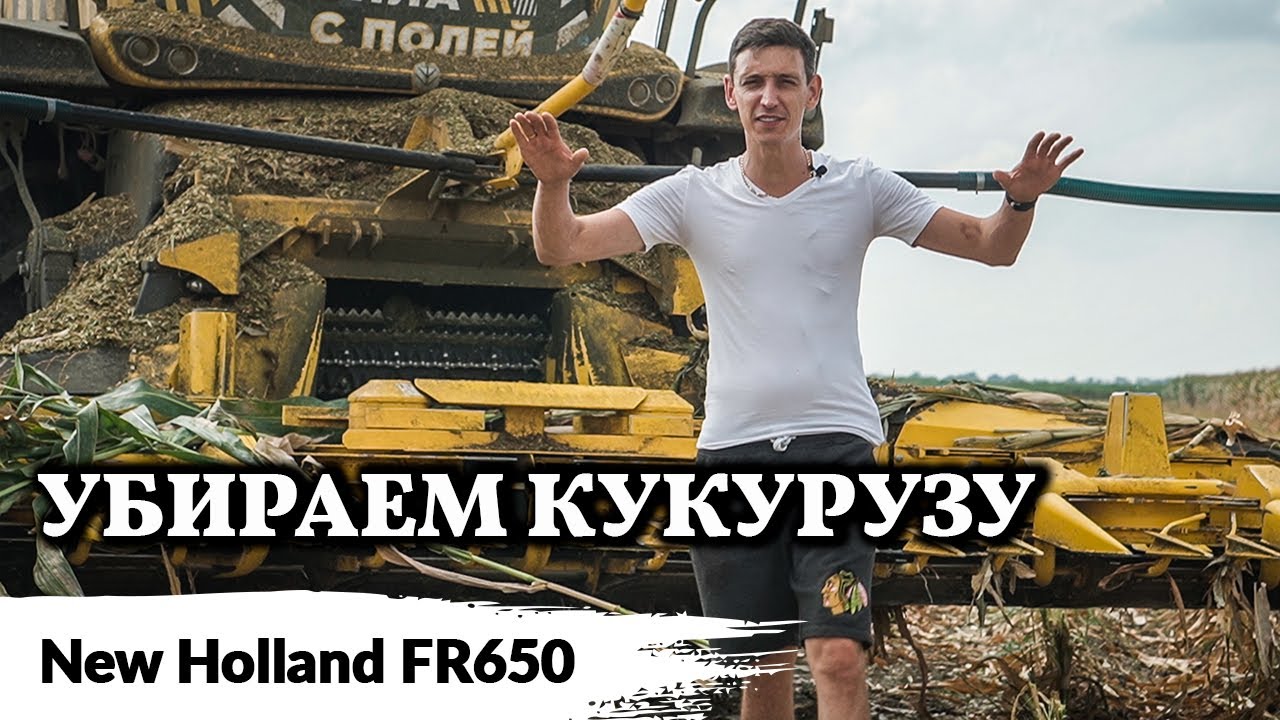 Заготавливаем силос //  New Holland FR650 кормоуборочный комбайн