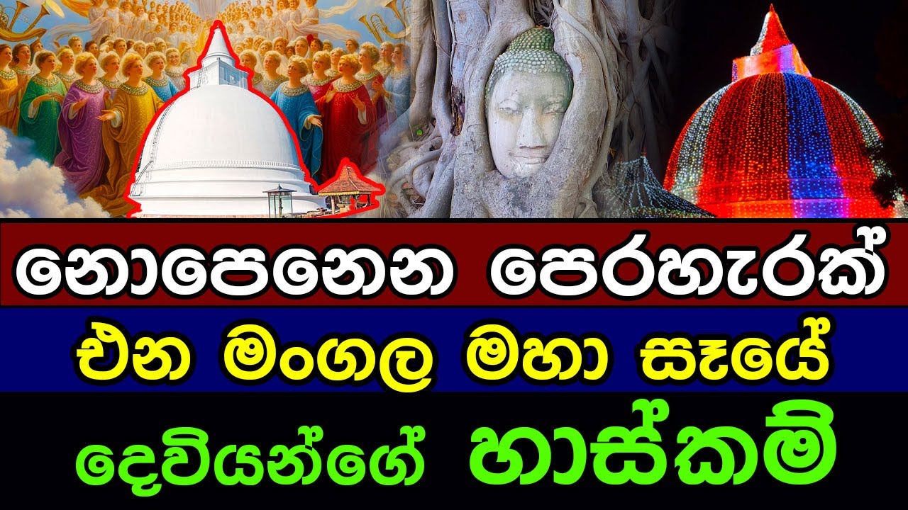 නොපෙනෙන පෙරහැරක් එන සේරුවිල,සේරුවා විල මංගල මහා සෑයේ හාස්කම් | Seruwawila maha seeya