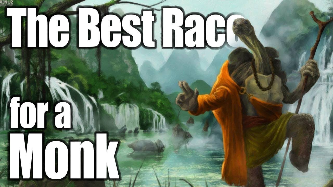 D&D Monk 5e — лучшая раса в Dungeons and Dragons 5-го издания