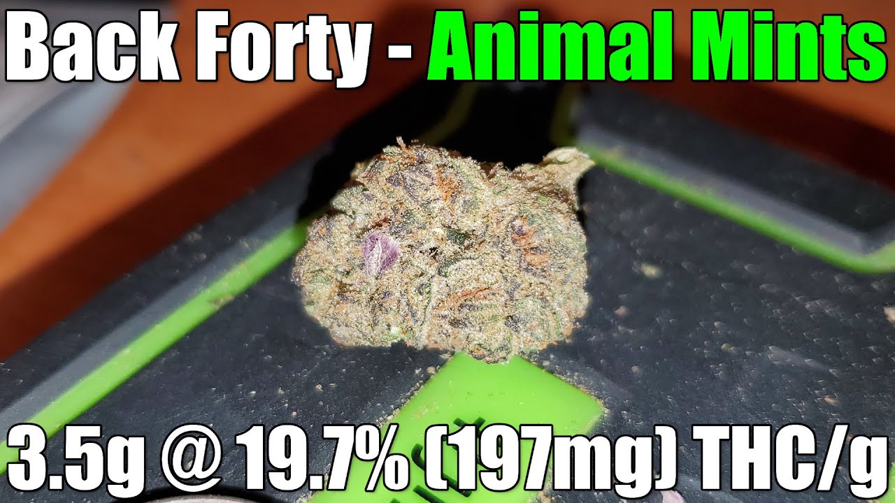 Back Forty - Animal Mints - Unboxing Review - 3.5g @ 19.7% (197mg) THC/g (+Extreme Closeups)