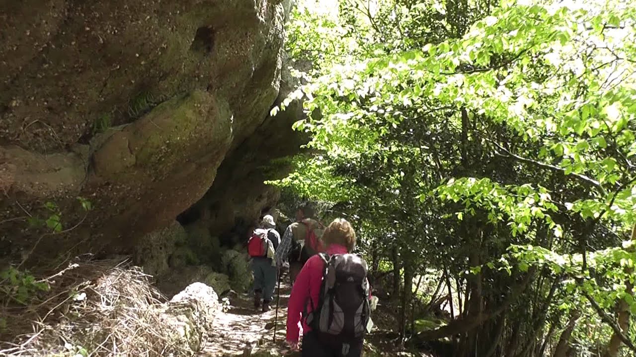 U3A Walk Yat Rock,Suck Stone,Buck Stone