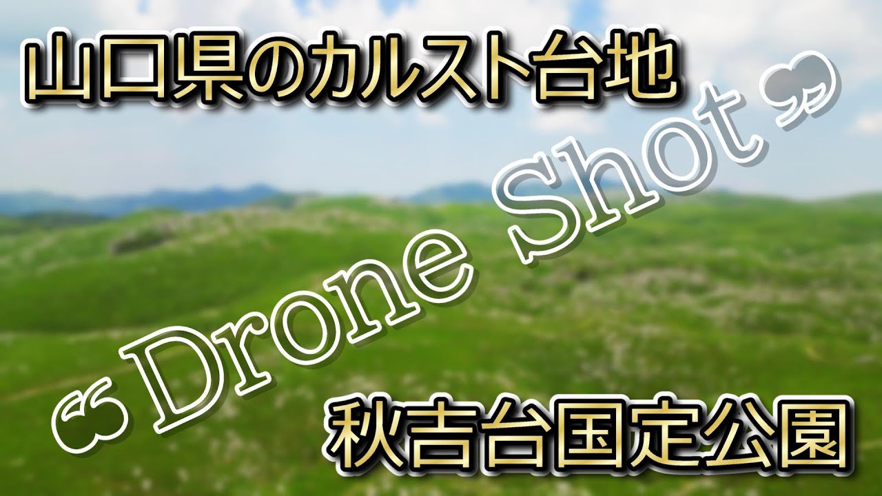 【Drone Shot】山口県のカルスト台地　秋吉台国定公園を「空撮」