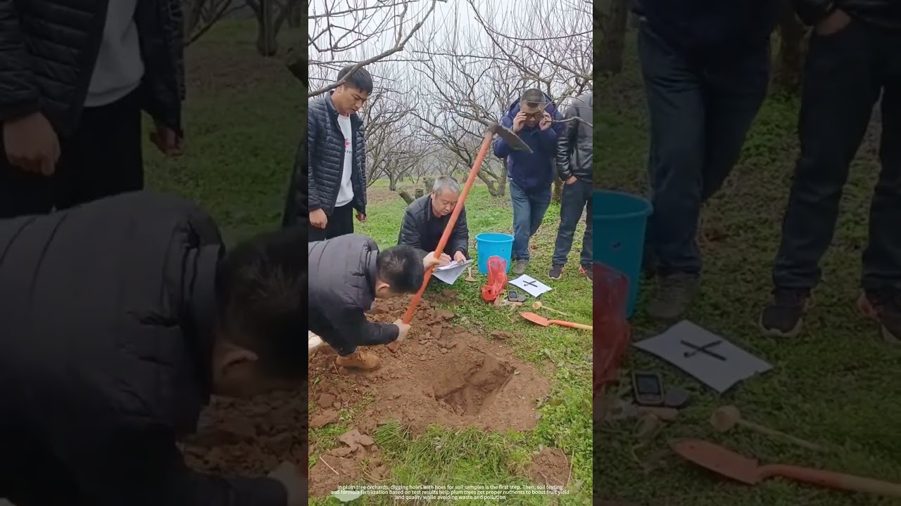 Digging A Hole To Obtain Soil Sample For Testing And Formula Fertilization !