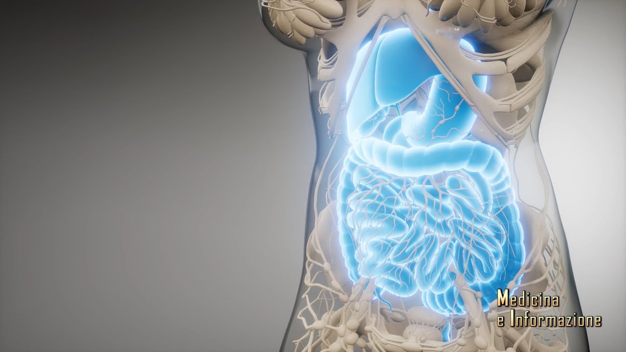 La Gastroenterologia d'avanguardia grazie alla microbiota revolution