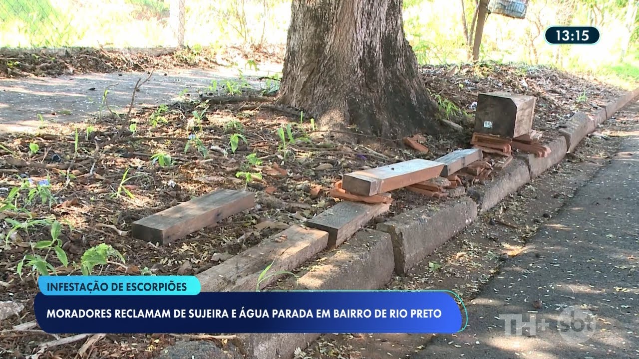 Moradores do bairro Romano Calil em Rio Preto reclamam de infestação de escorpiões
