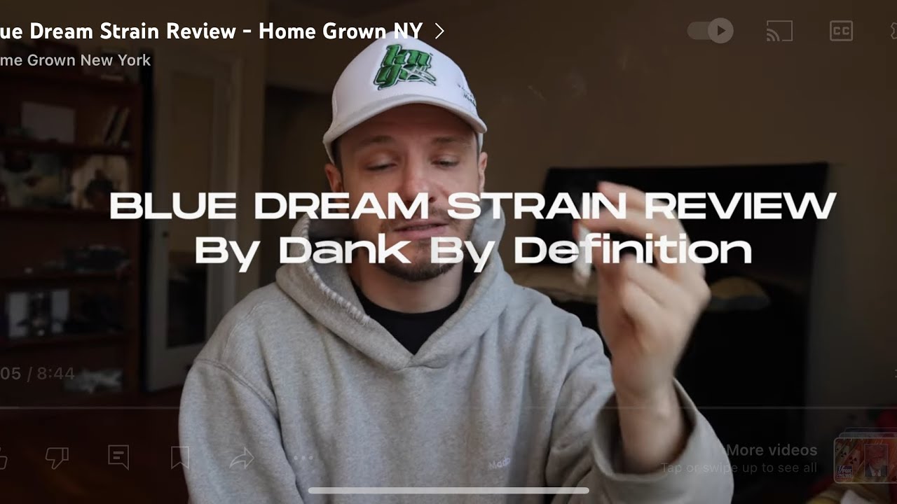 Dank Blue Dream Strain Review - Home Grown NY