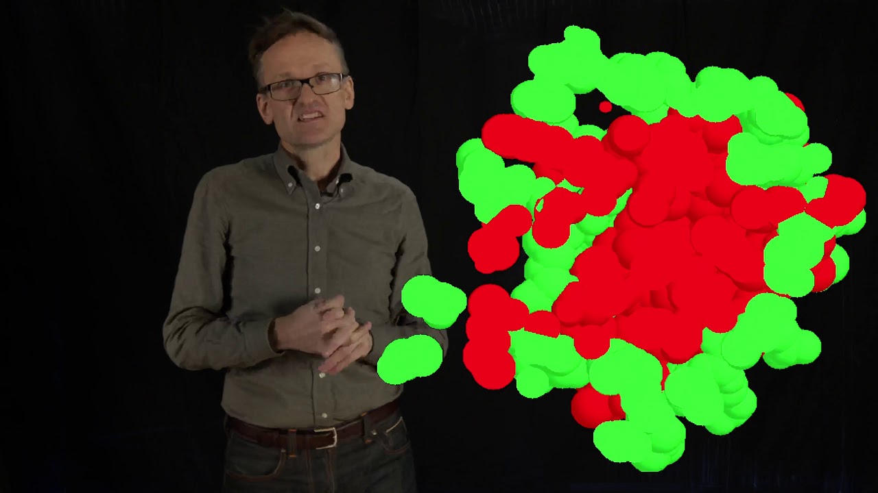 Lecture 04, concept 08: Protein folding is initially a hydrophobic collapse