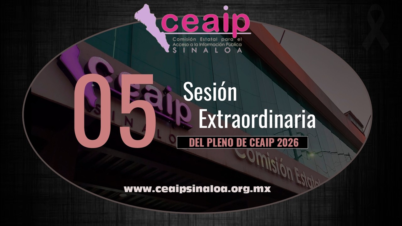 Sesión Extraordinaria del Pleno CEAIP 05/26