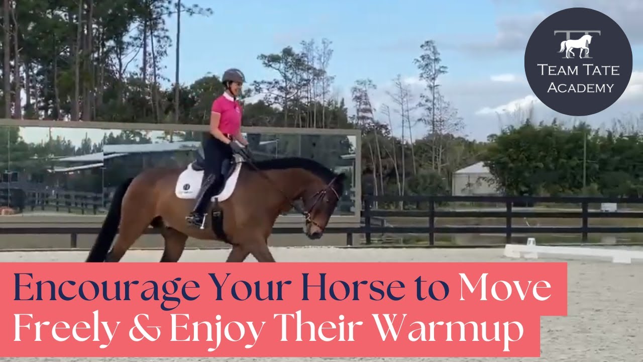 Encourage Your Horse to Move Freely & Enjoy Their Warmup