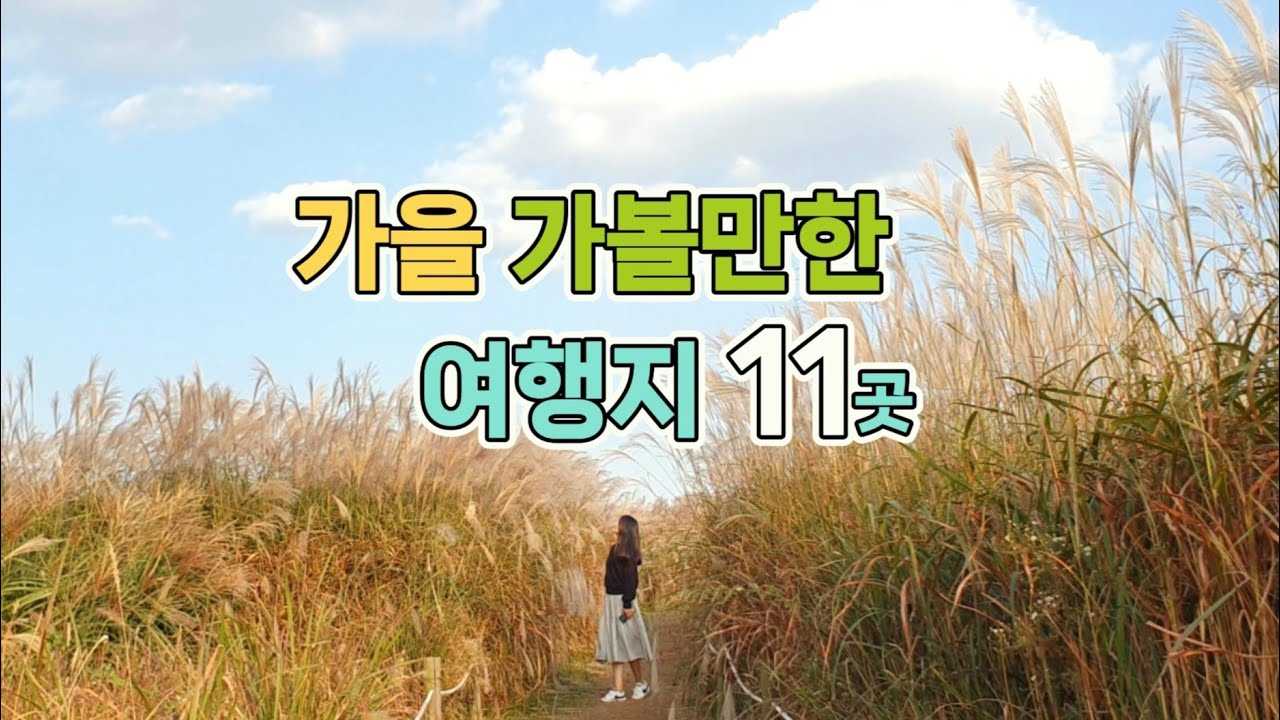 2024년 가을축제/ 가을여행지 추천 11곳 🍁