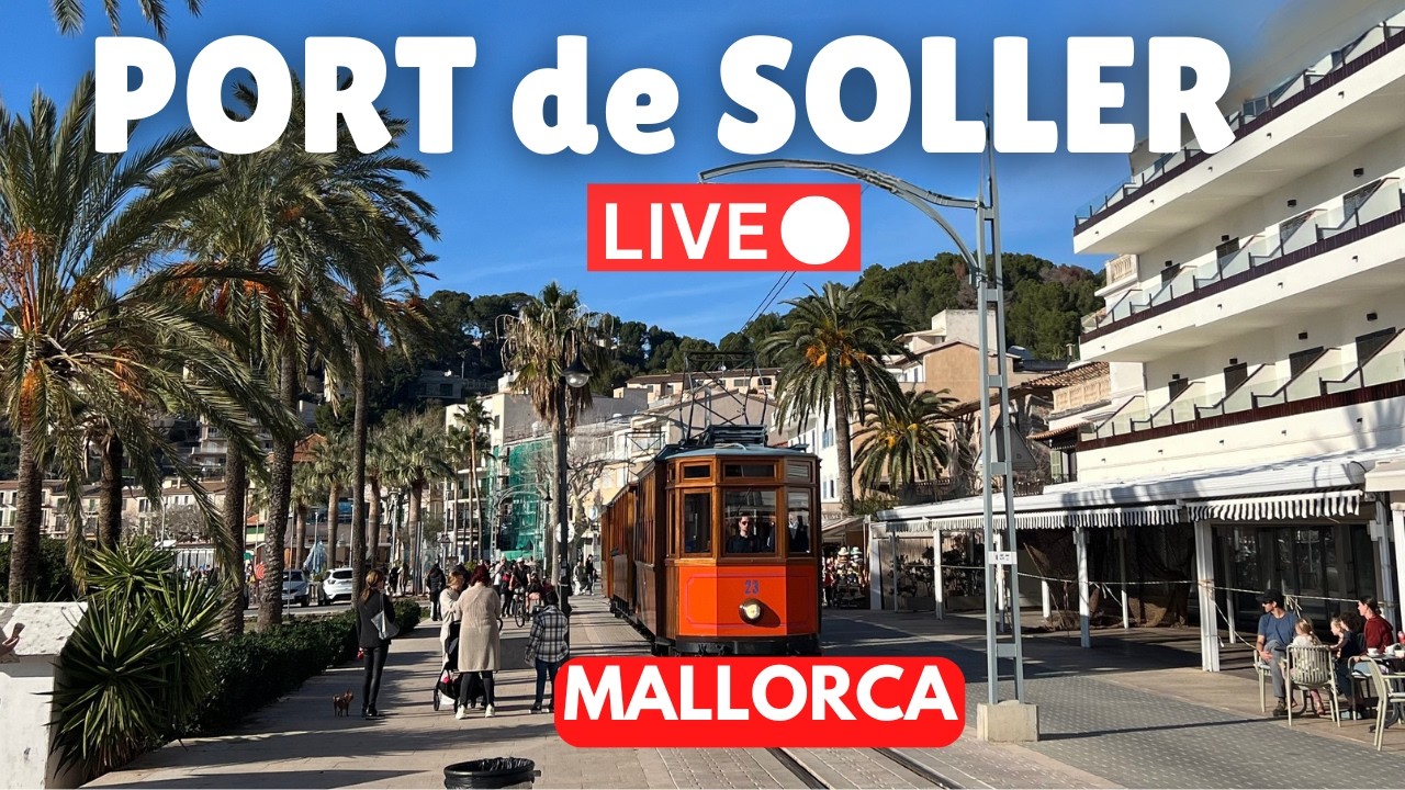 🔴 LIVE in Port de Soller, Mallorca | 15 February 2026 (Spain)
