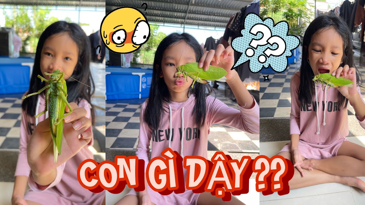 LẦN ĐẦU TI&Ecirc;N TRONG ĐỜI THẤY CON C&agrave;o C&agrave;o Bắp😵&zwj;💫🙄😱🍌KINH HỒN BẠT V&Iacute;A TRỪ THẢO NGUY&Ecirc;N🥹#samchannel