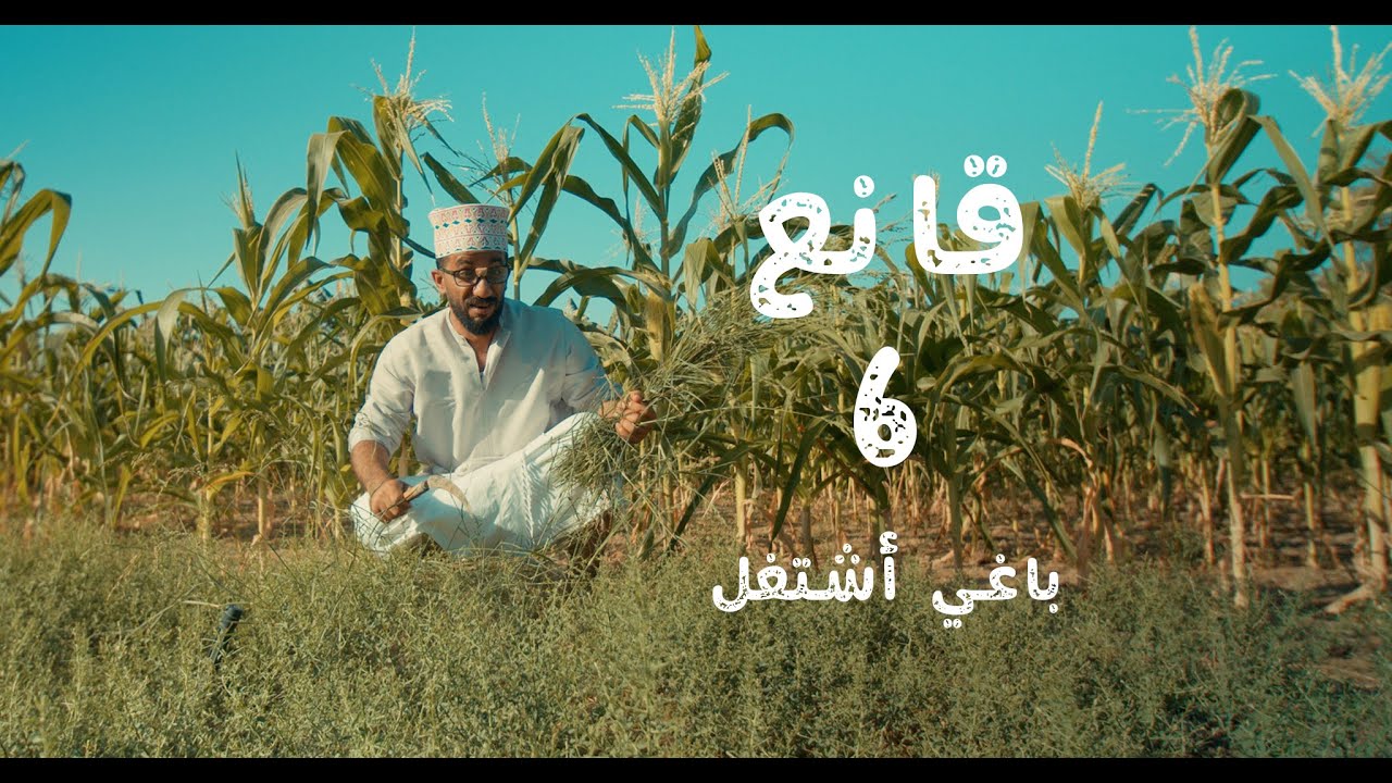 باغي أشتغل | الحلقة السادسة | #قانع