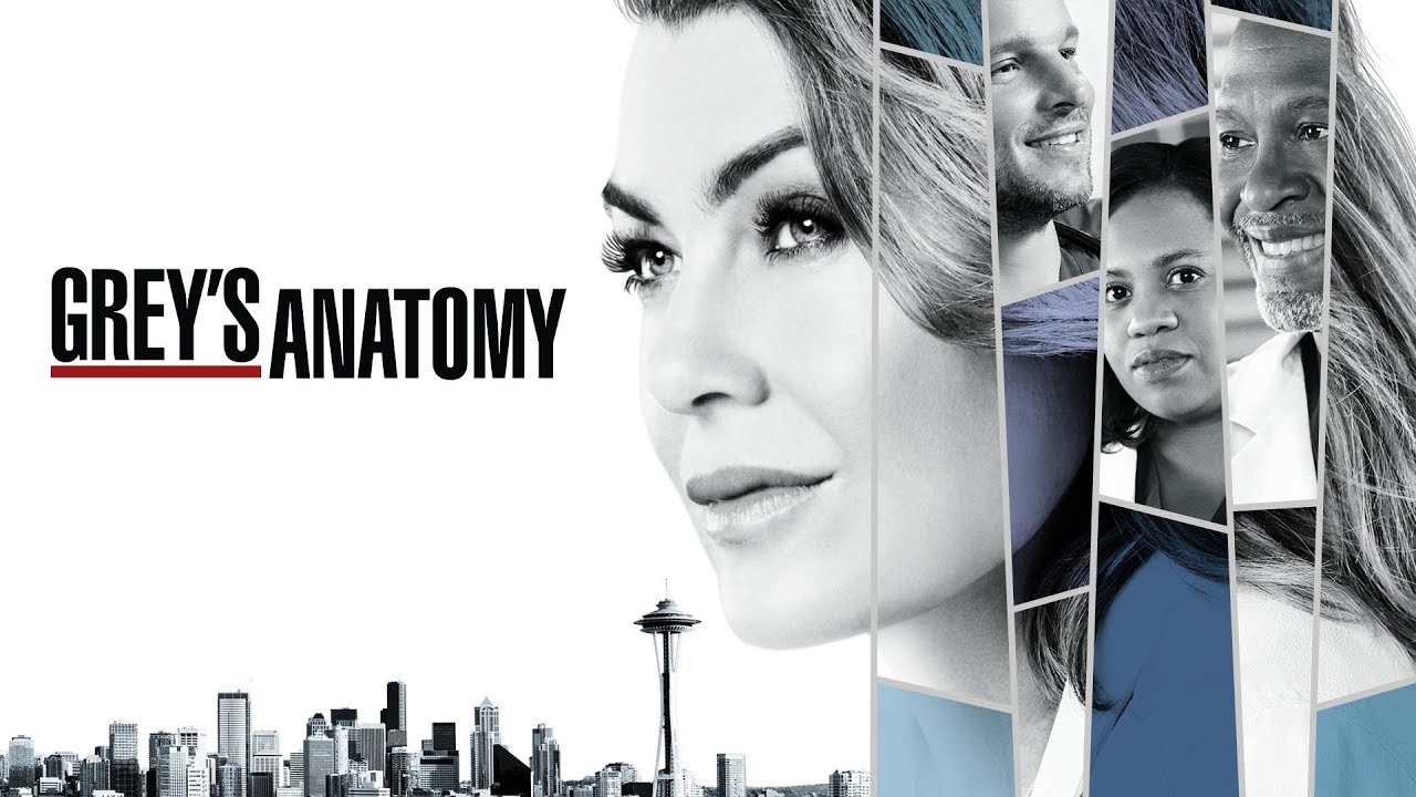 Grey's Anatomy Season 14 