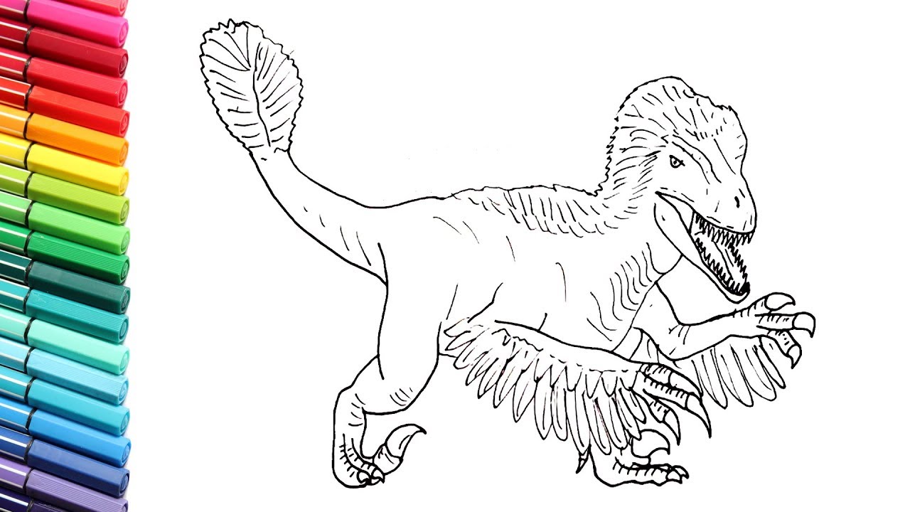 How to Draw the Utahraptor Dinosaur - Drawing and Coloring New Velociraptor - Dinosaur Color Pages