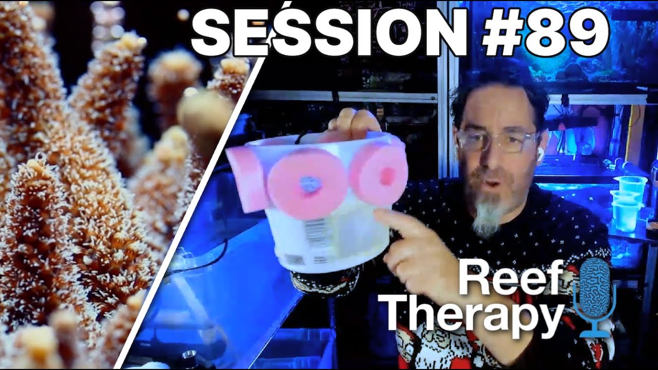 It's Coral Spawning Season in Richard Ross' Laboratory | #89