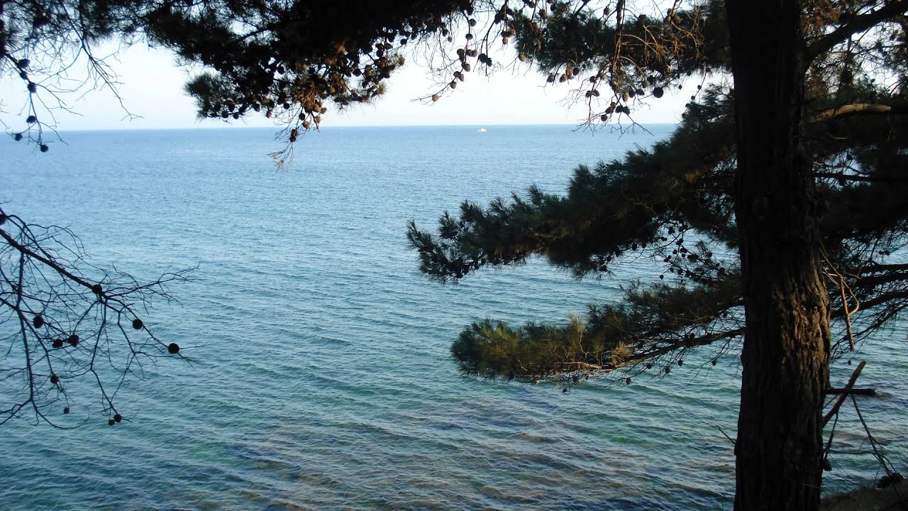 Ευαγγελίστριες - Χαρούμενες Αγωνίστριες