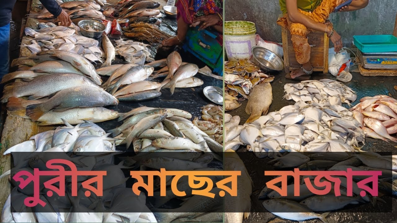 Puri Swargadwar Fish Market|| পুরীর মাছের বাজার|| Puri fish market 2025