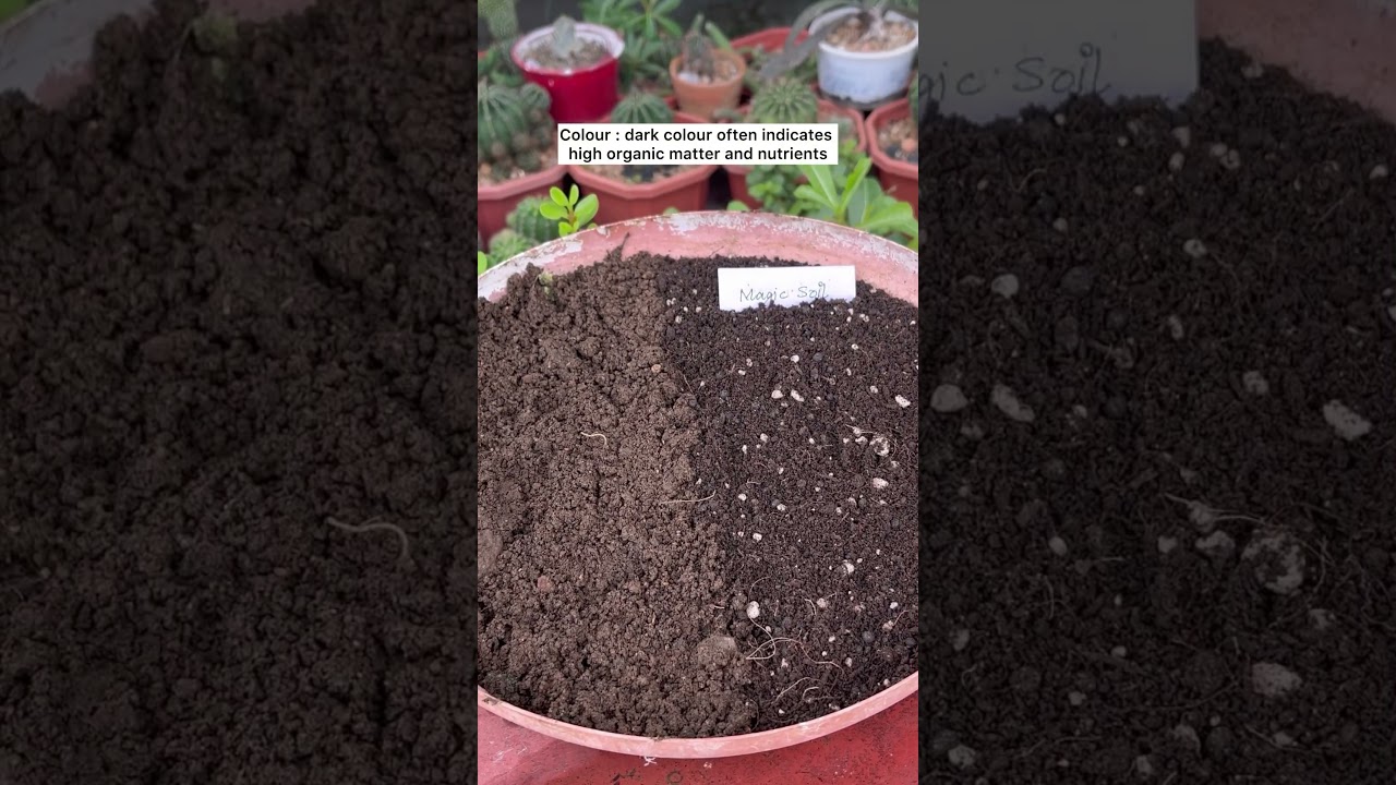 Qualities of good potting mix #soil #gardening#gardeningshorts #ytshorts #gardeningideas#pottingmix