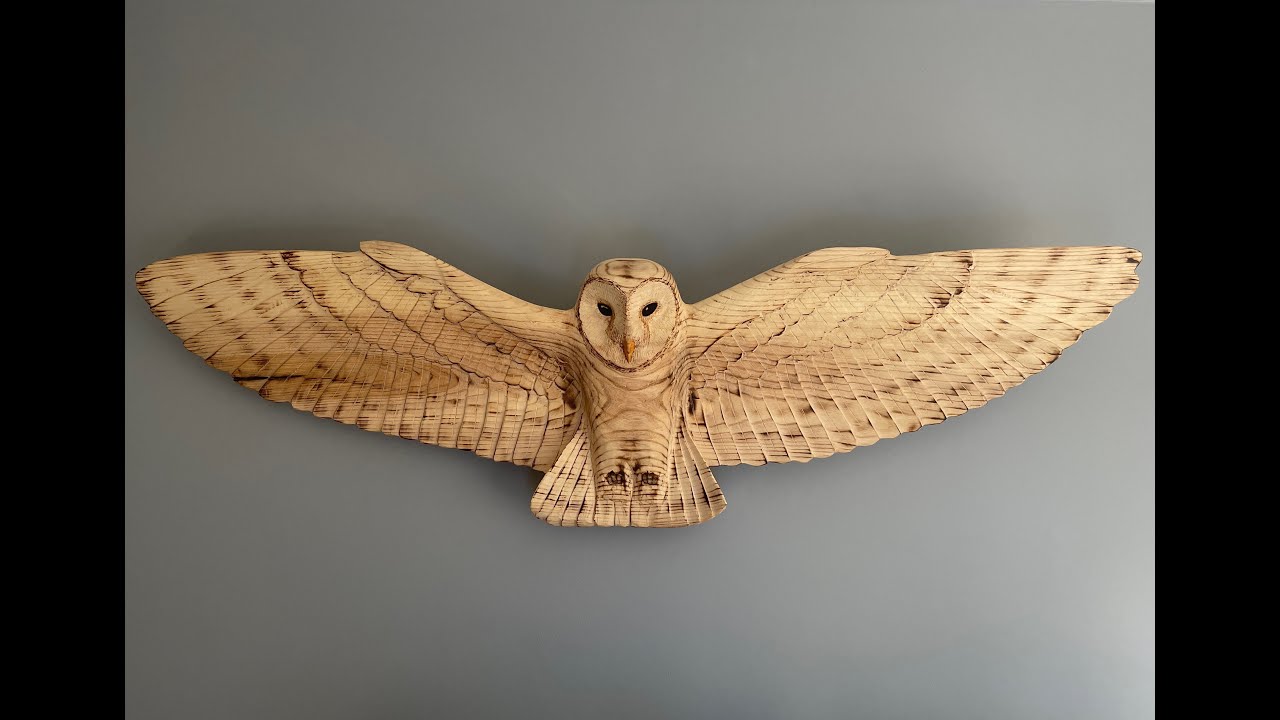 The Making of a Barn Owl