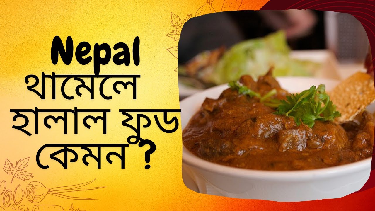 Thamel Halal Food - Al Madina | থামেল হালাল ফুড রিভিউ - আল মদিনা || Dhaka To Nepal Tour Guide