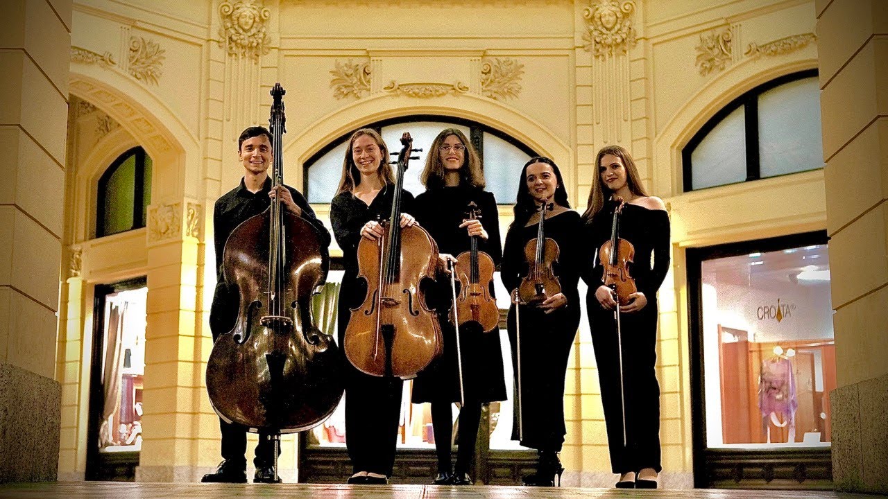 1. Allegro ma non troppo - Franz Schubert String Quintet in C Major, D. 956 - Wanderer Quintet (V2)