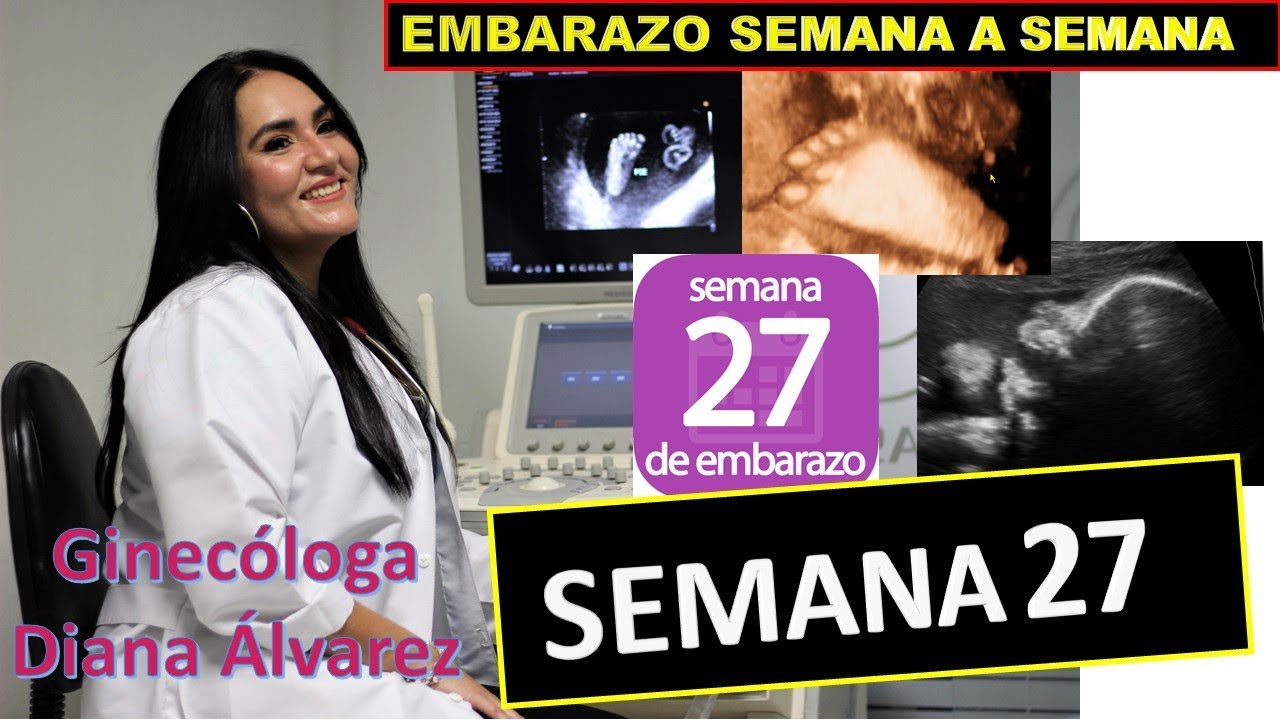 SEMANA 27, EMBARAZO SEMANA A SEMANA POR GINECOLOGA DIANA ALVAREZ