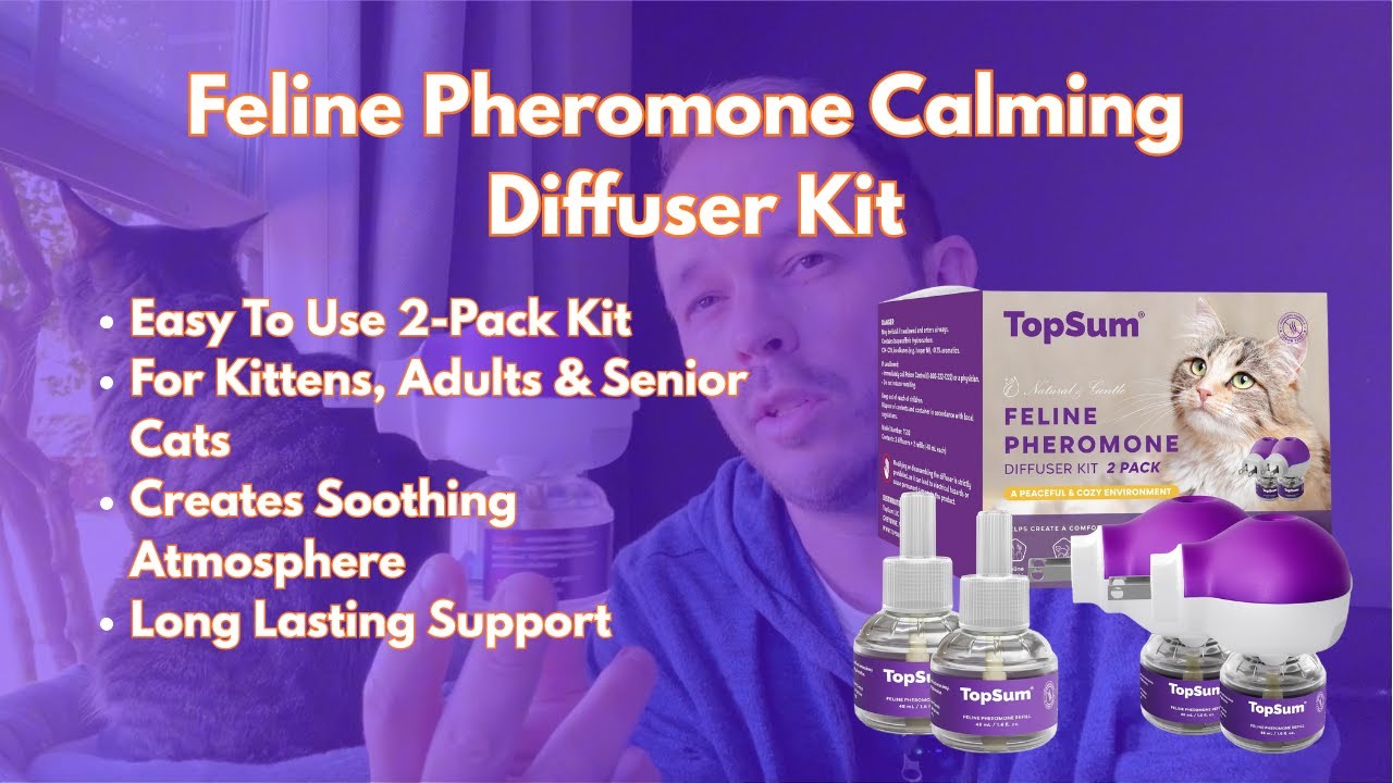 Product Review: Thoughts On The Calming & Pheromone Diffuser For Cats #amazonfinds #catproducts