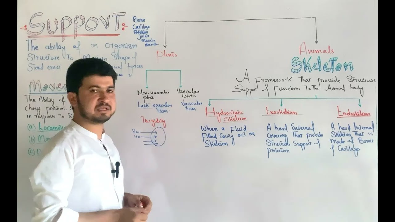 Concept of Support and Movement class 12 in Pashto| Types of skeleton| MDCAT 2nd year Biology|Zia