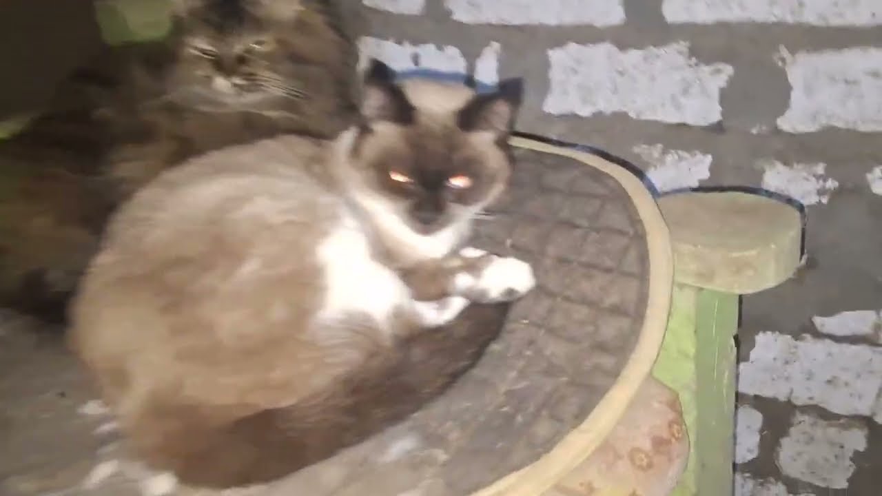 ❤️YEAH 30 Grad alle so süss ❤️❤️