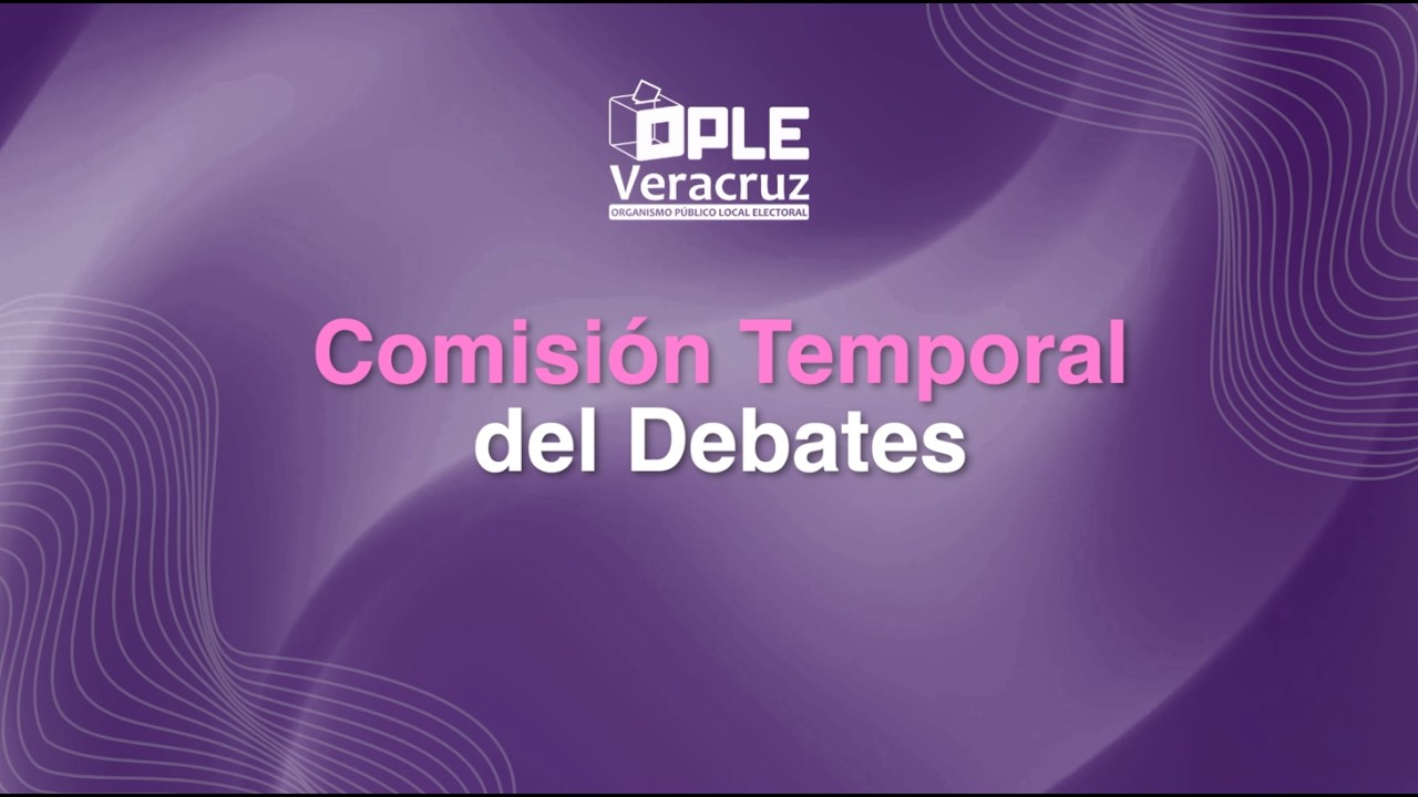 Sesión de la Comisión Temporal de Debates.