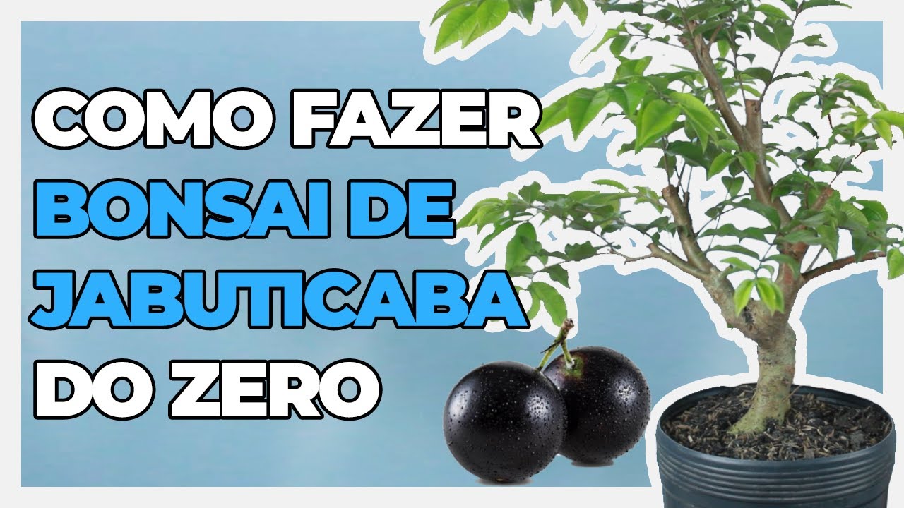 Por Que as Bonsais de Jabuticaba São MAIS FÁCEIS de Criar do que Você Imagina?