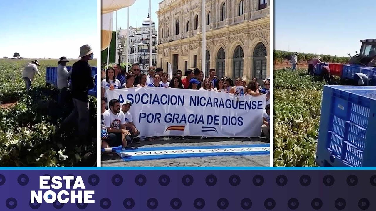 La explotación laboral que sufren los migrantes nicaragüenses en España