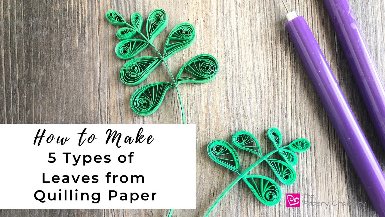 How to Make Leaves From Quilling Paper | 5 Types of Quilling Paper Greenery