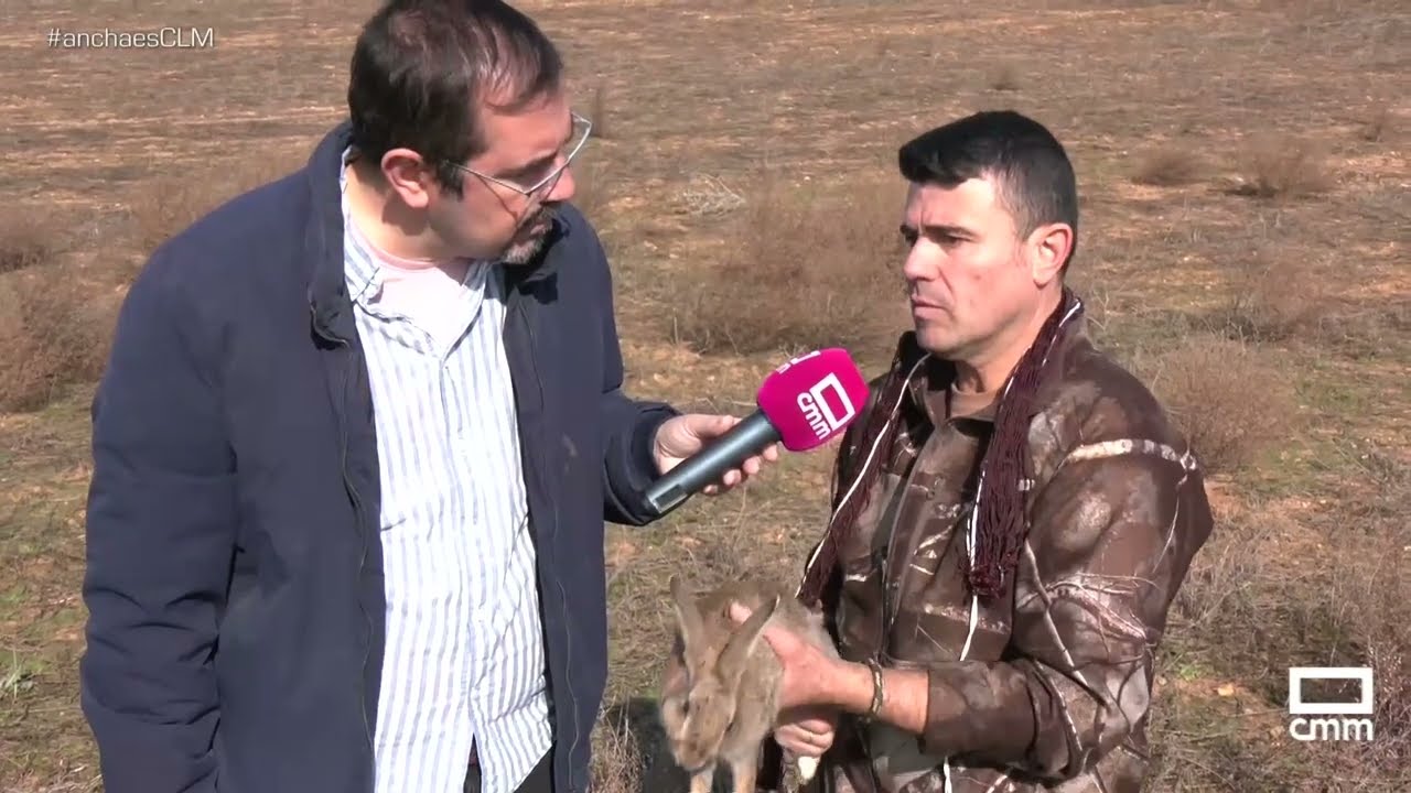 El corredor del Henares, afectado por la plaga de conejos