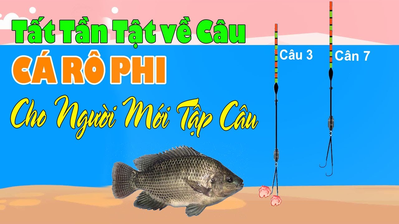 👉Tất Tần Tật về Câu Cá Rô Phi 🎣 Kỹ Thuật Câu Cá Rô Phi Tự Nhiên - Dịch Vụ | Cân Phao Câu Cá Rô Phi