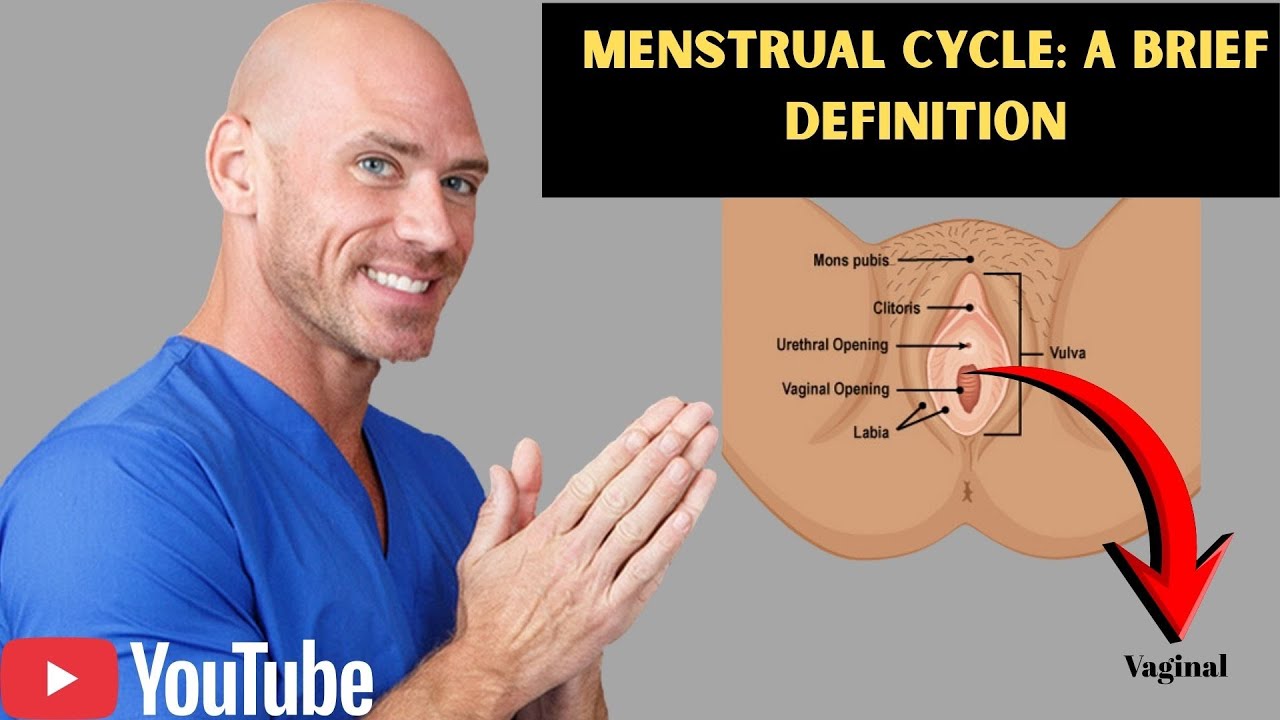 Menstrual Cycle: A Brief Definition # doctor # johnysins 