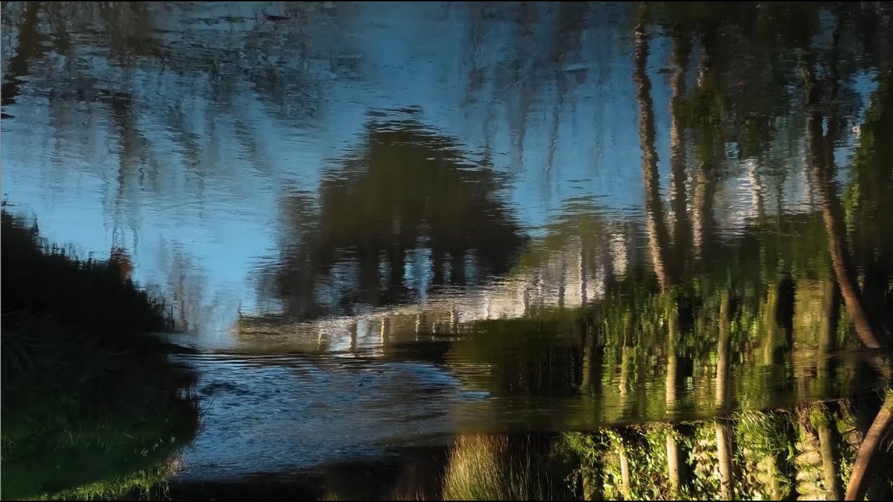 Test-driving the Panasonic HC-VX1 (4K footage)