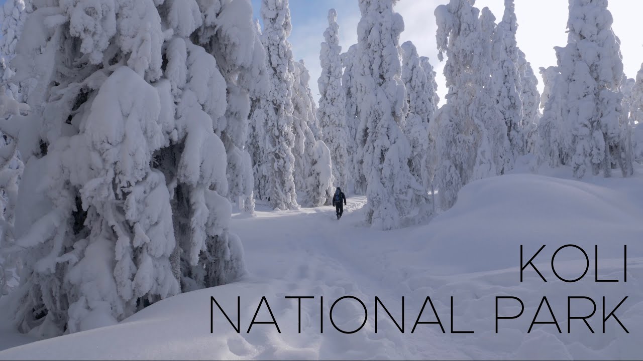 Winter hiking in Koli National Park - Kolin Kansallispuisto