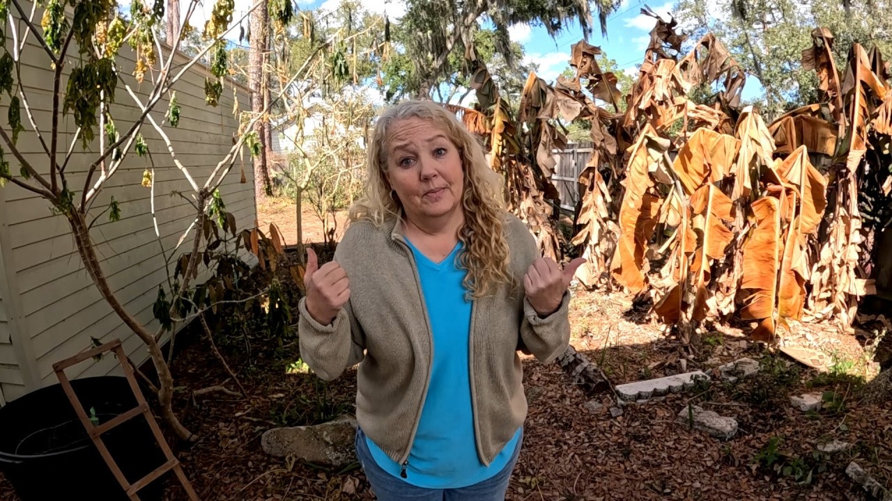 10 Lessons Learned in the FLORIDA FREEZE | Southern Latitudes