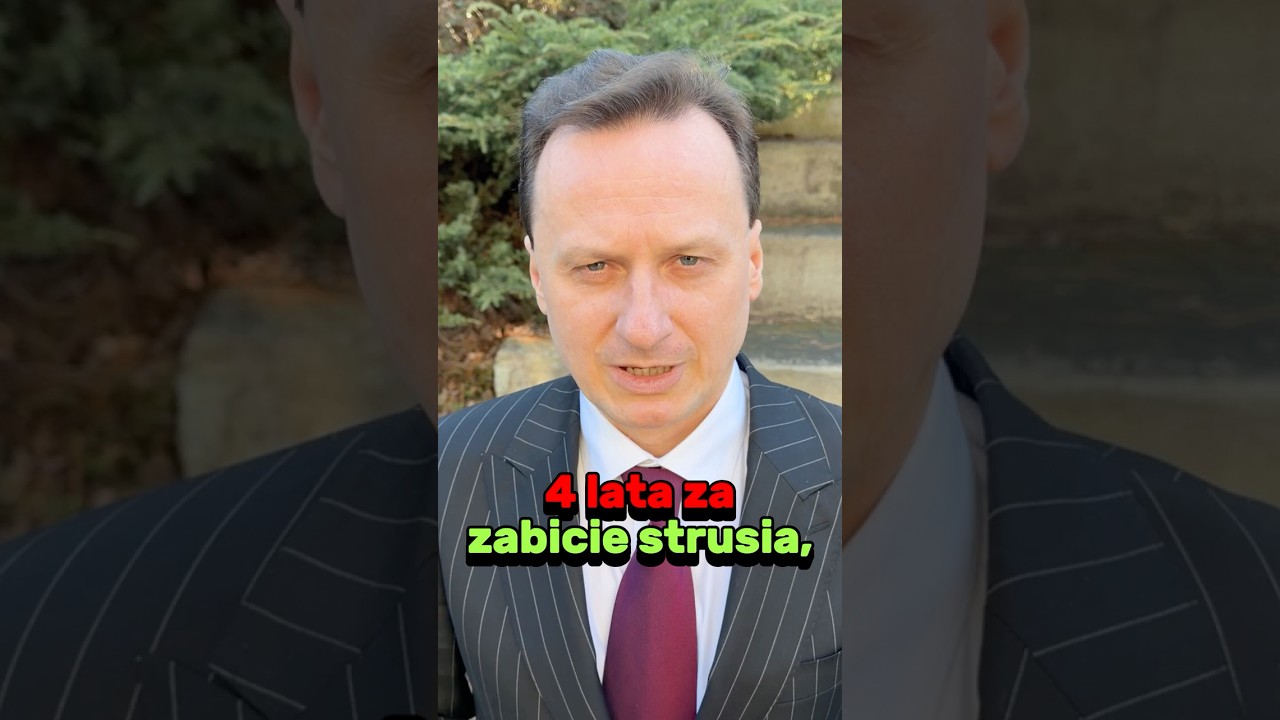 Kotula, gdzie jesteś?